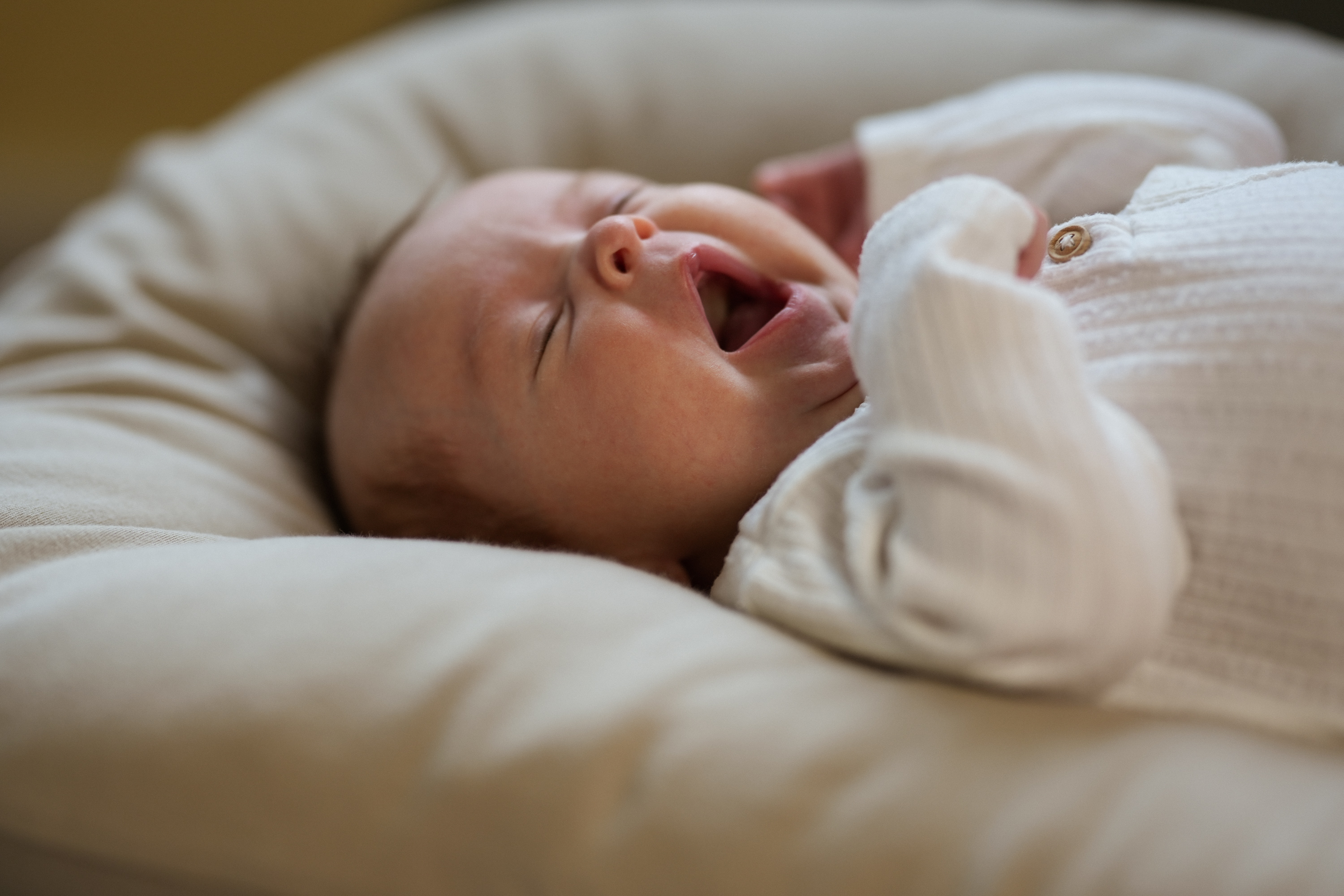 Time Won’t Wait – Cherish Every Newborn Moment